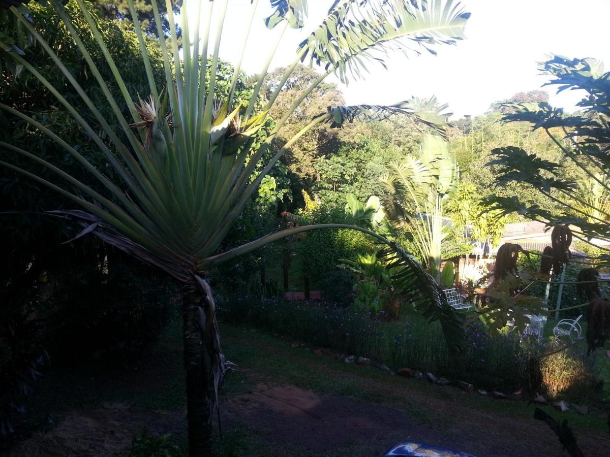 פוארטו איגואסו Hotel Los Amigos מראה חיצוני תמונה
