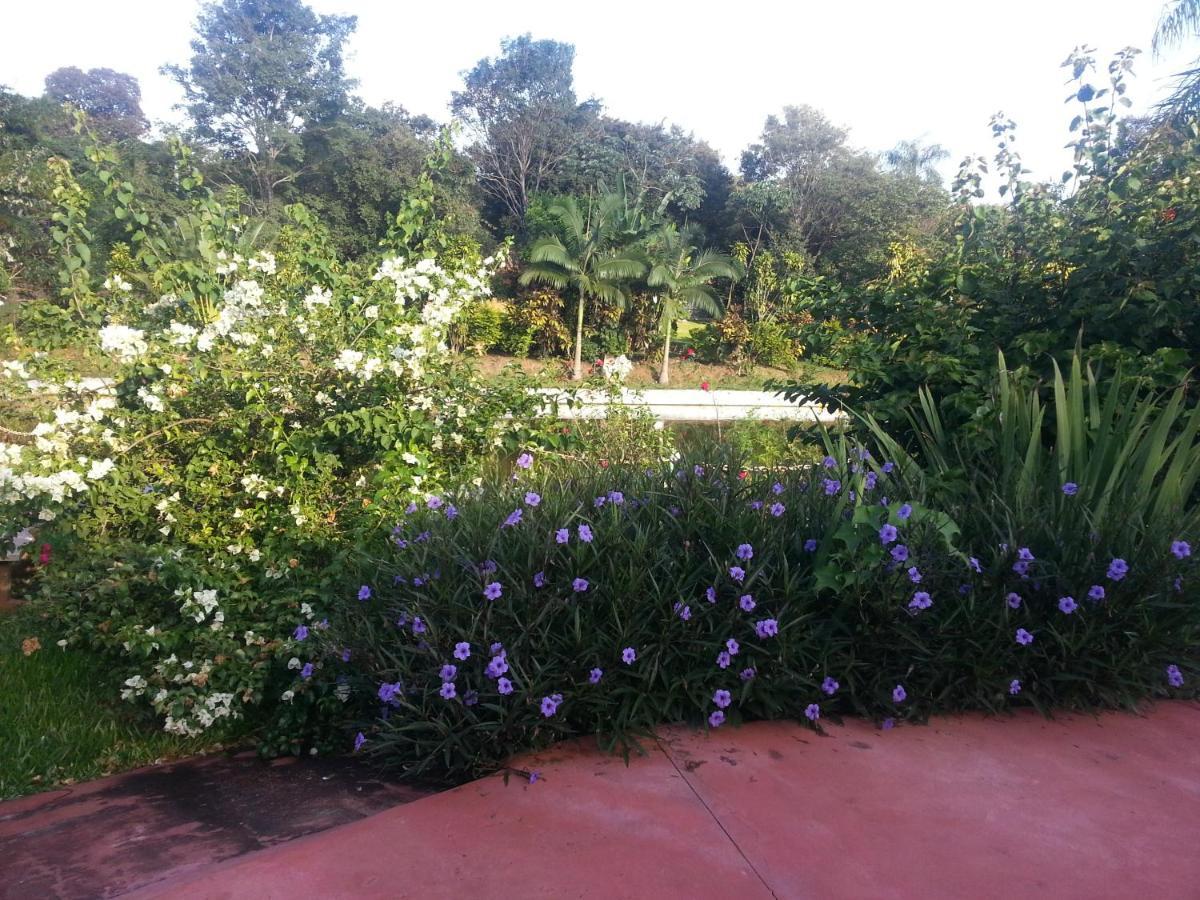 פוארטו איגואסו Hotel Los Amigos מראה חיצוני תמונה
