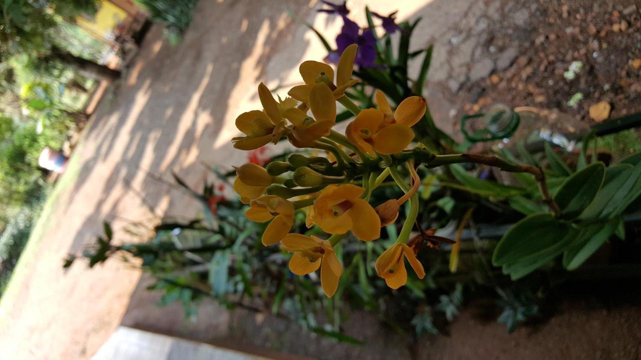 פוארטו איגואסו Hotel Los Amigos מראה חיצוני תמונה