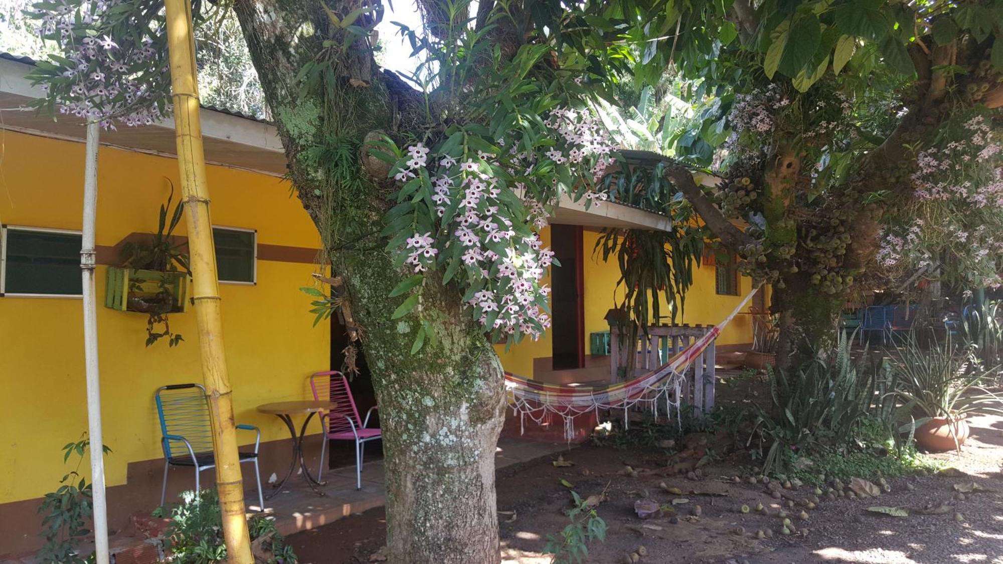 פוארטו איגואסו Hotel Los Amigos מראה חיצוני תמונה